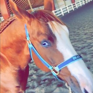 Meet your Posher, Erin